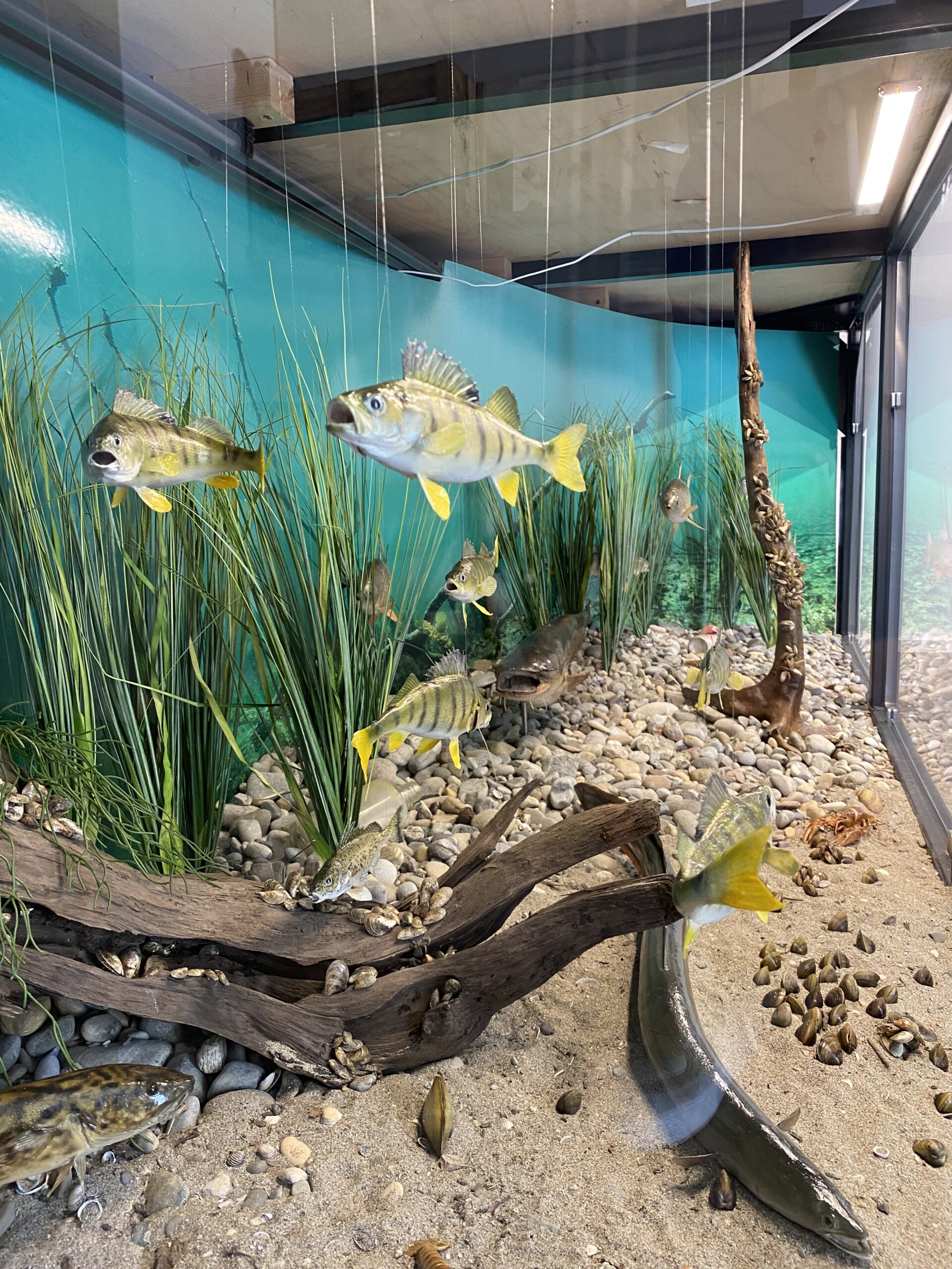 Der Bodensee unter der Oberfläche